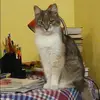 Отзыв от Ираида Косарева
